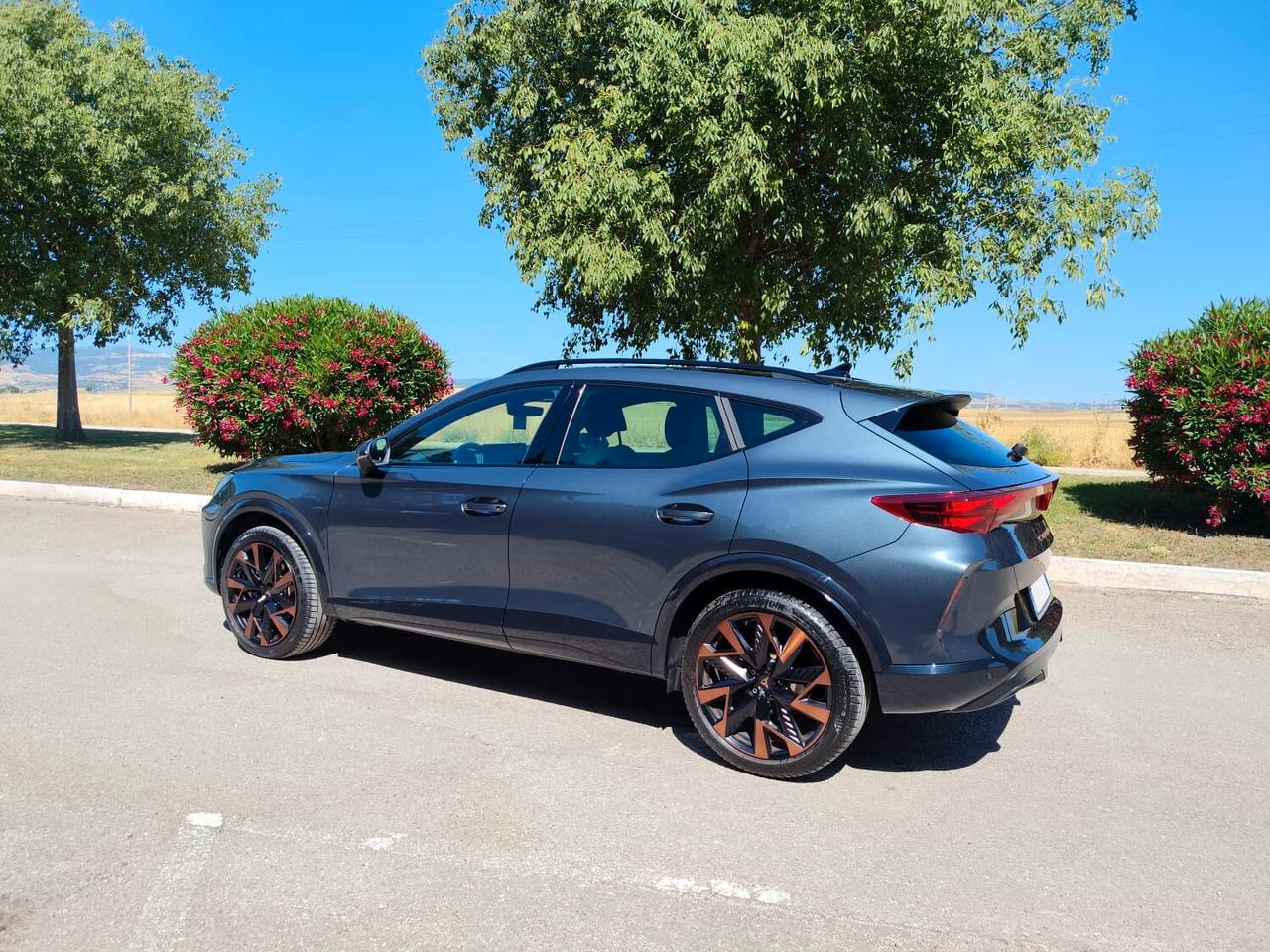 Cupra Formentor 2.0 TDI DSG