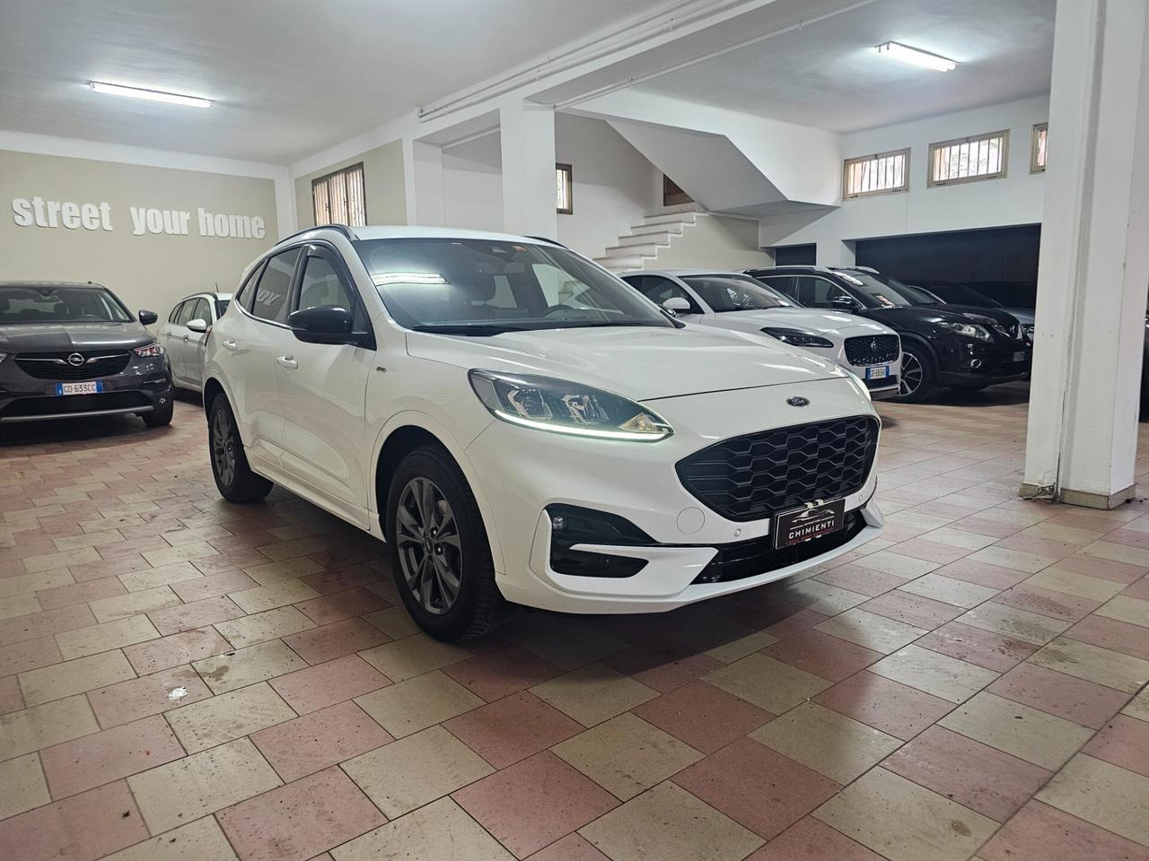 Ford Kuga 2.0 EcoBlue 120 CV aut. AWD ST-Line