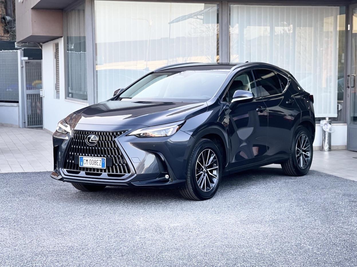 Lexus NX 350 2.5 Hybrid 190CV 4WD E6 Automatica - 2022