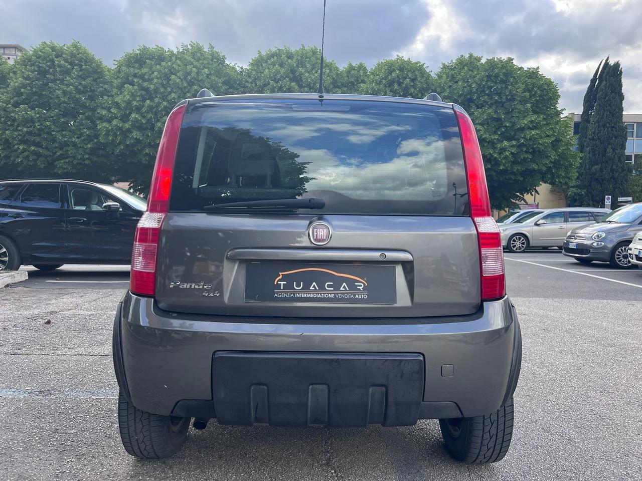 Fiat Panda 1.3 D Multijet DPF Climbing 4x4 #10794