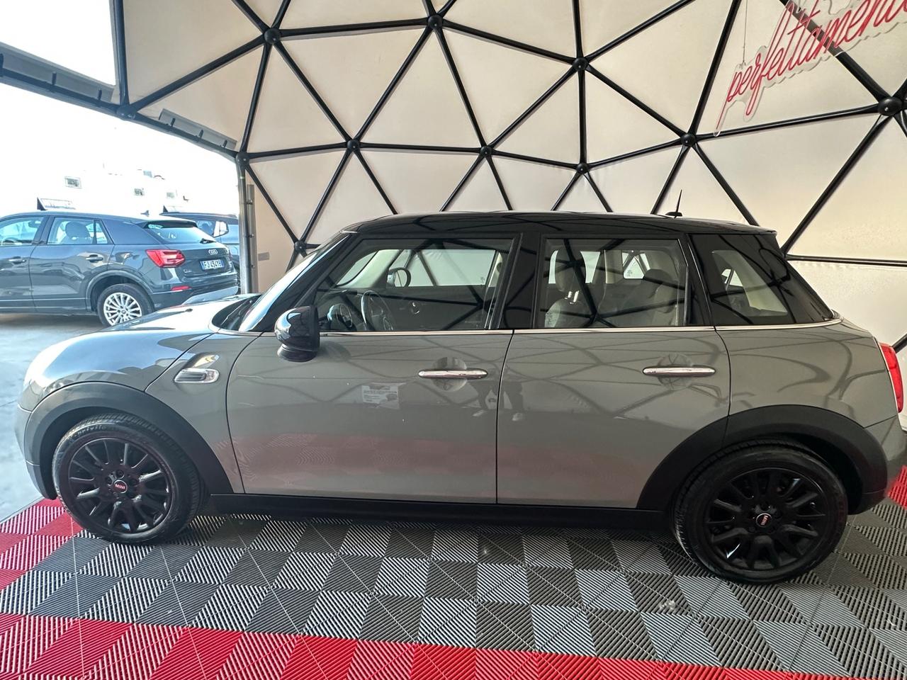 Mini 1.5 One D Hype