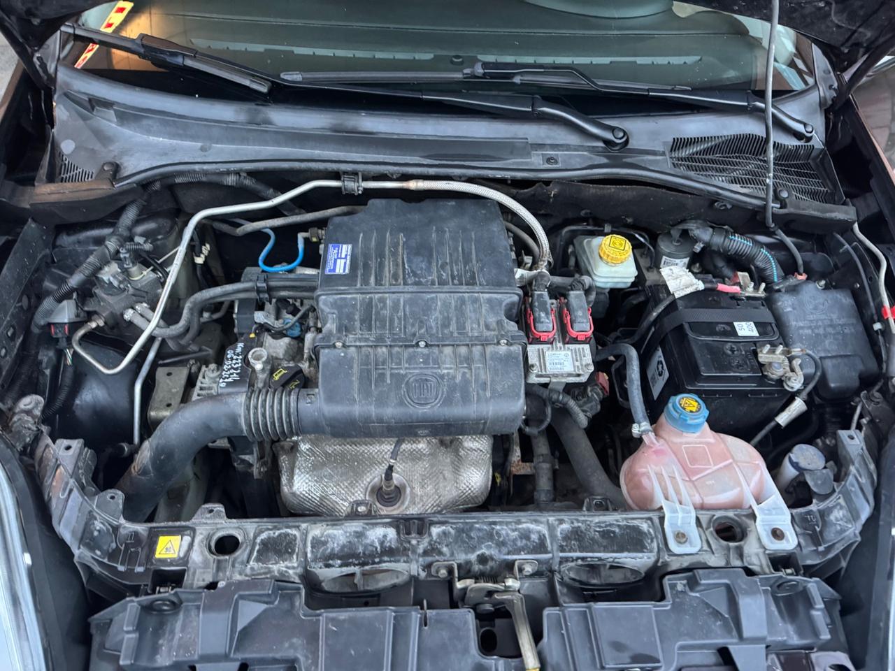 Fiat Punto Evo 1.4 5 porte Dynamic Natural Power