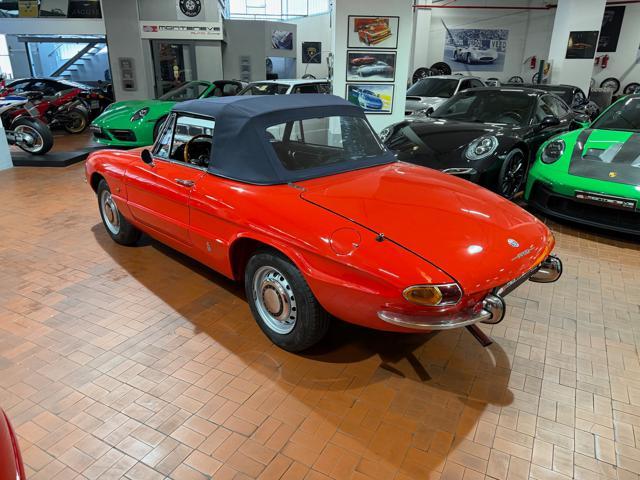 ALFA ROMEO Spider Osso di Seppia 1750 Veloce