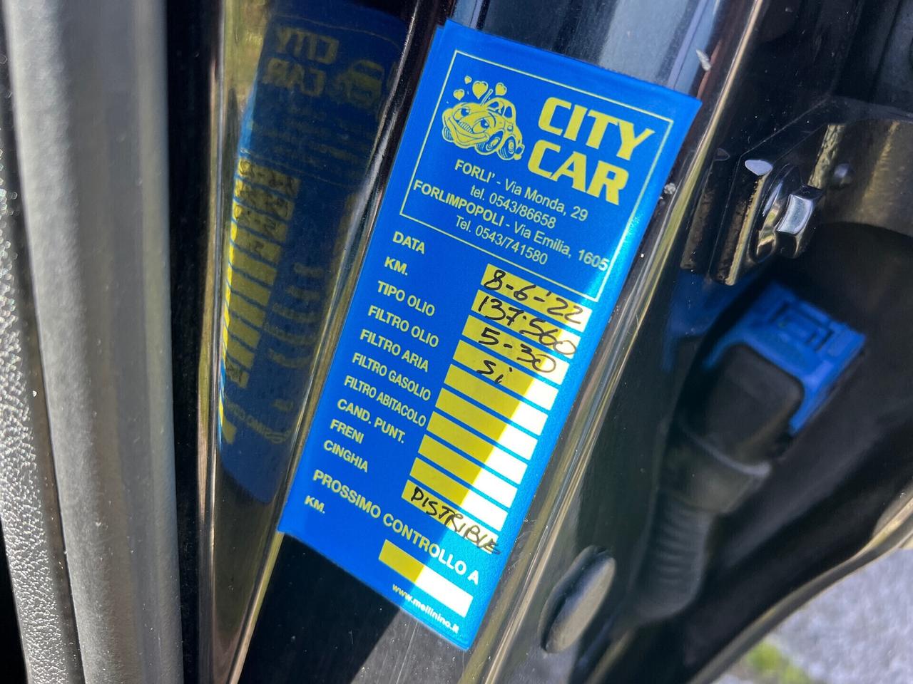 Fiat Punto Evo 1.3Mjt 75CV 5porte S&S Dynamic-2011