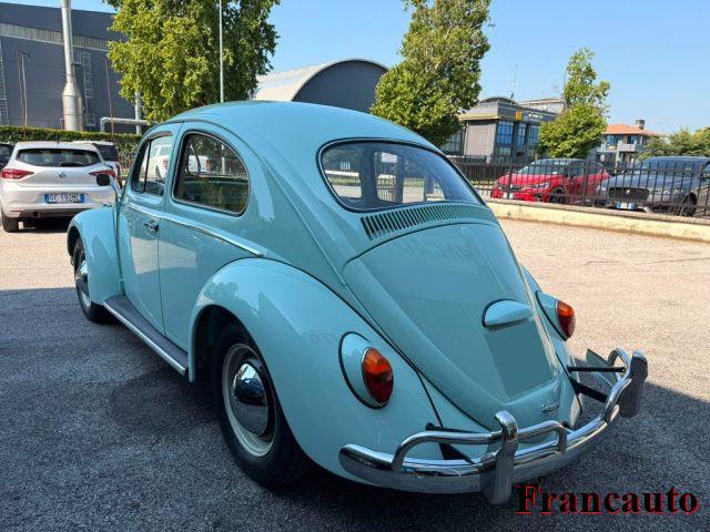 VOLKSWAGEN Maggiolino maggiolino