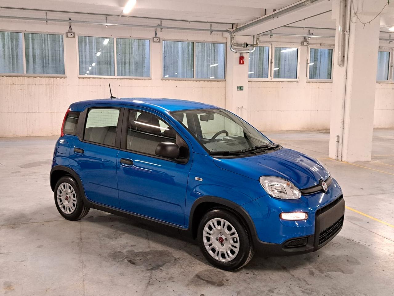 Fiat Panda 1000 FireFly Hybrid 70CV Panda 5 Porte Km. Zero