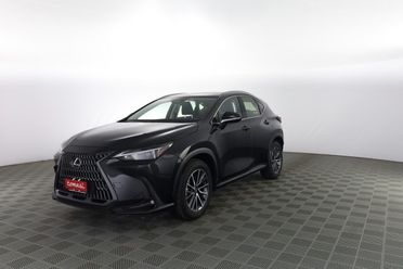 LEXUS Other NX NX Hybrid 4WD Business