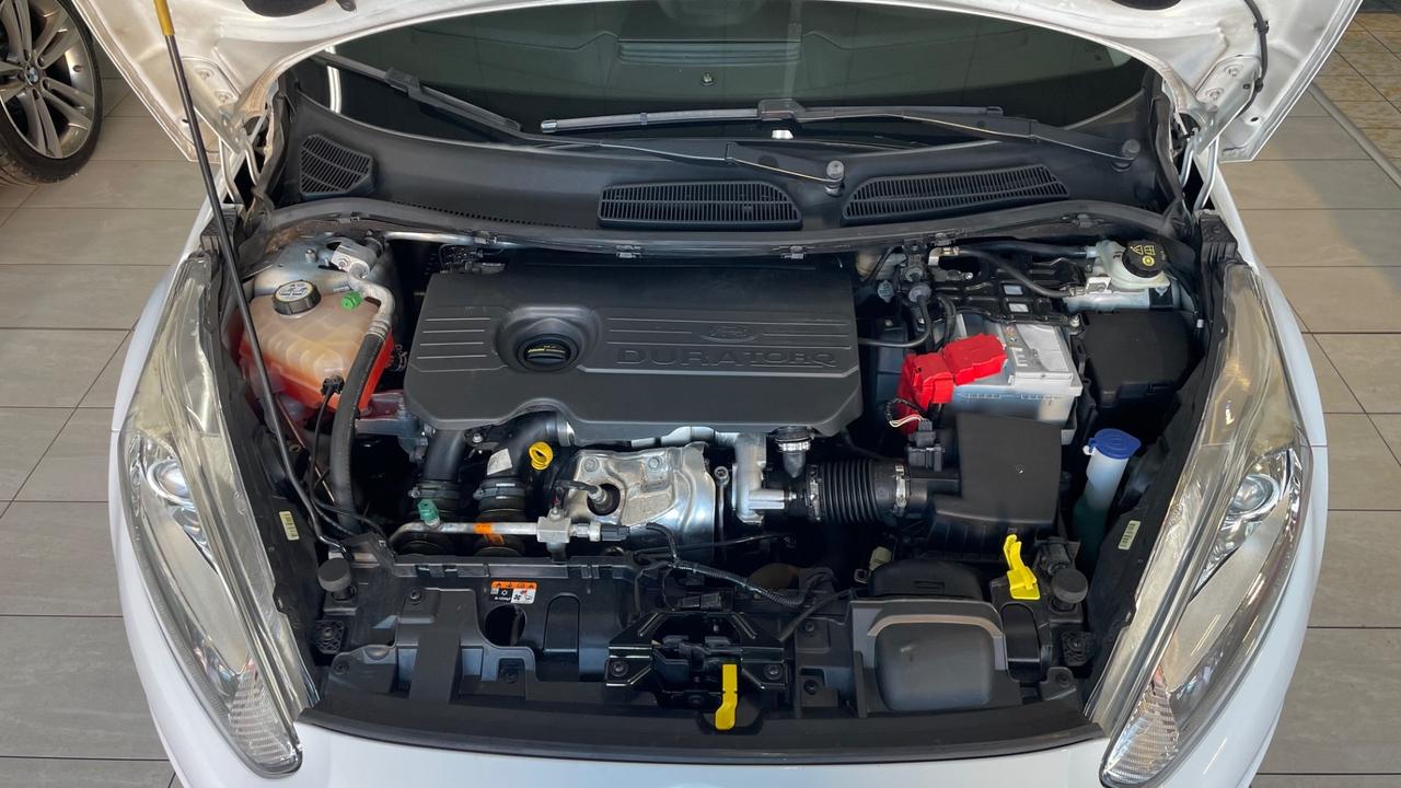 Ford Fiesta 1.5 TDCi 75CV 5 porte Titanium