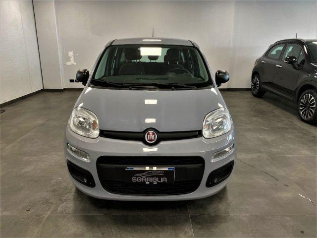 FIAT Panda 1.0 FireFly Hybrid Easy