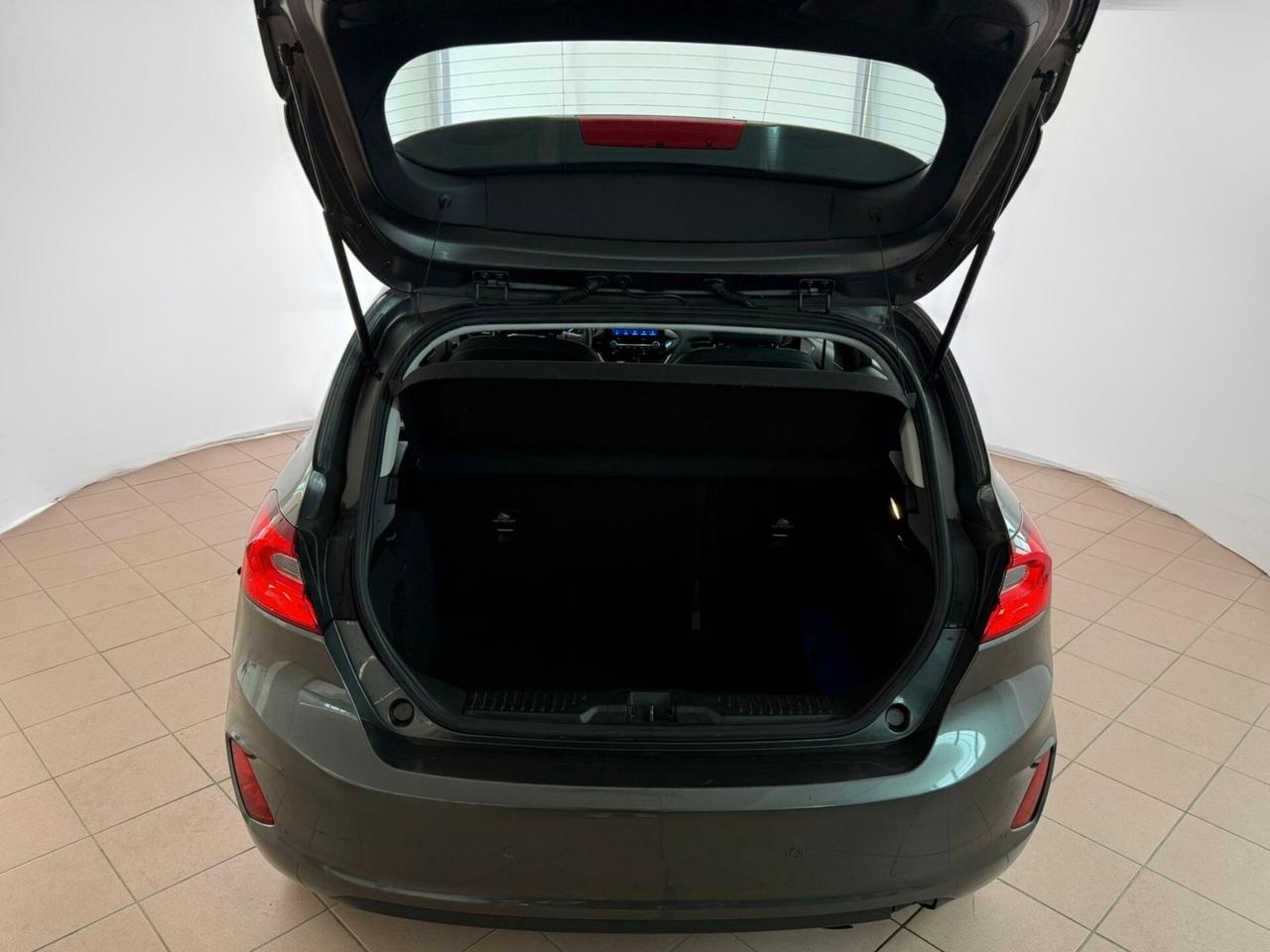 Ford Fiesta 1.0 Ecoboost Hybrid 125 CV 5 porte Titanium