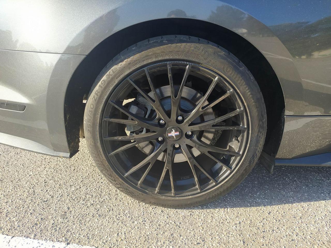 Ford Mustang 2.3 EcoBoost #6892