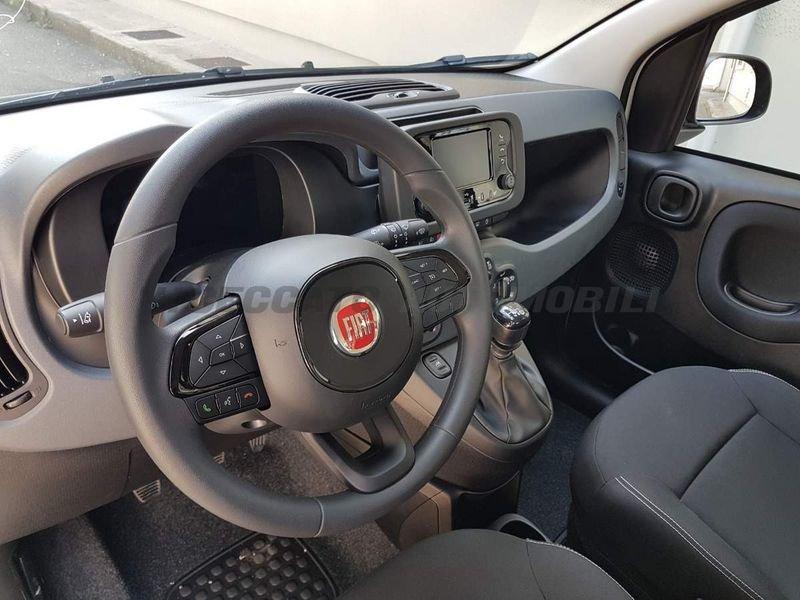 FIAT Panda Panda 1.0 firefly hybrid s&s 70cv