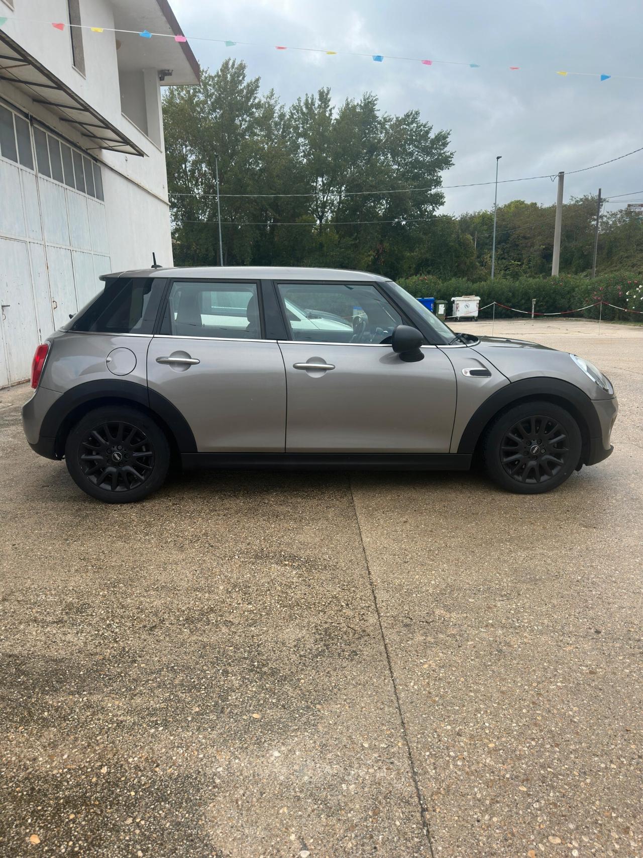Mini 1.5 One D Hype