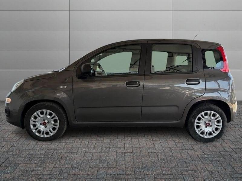 FIAT Panda Panda 1.0 firefly hybrid City Life s&s 70cv