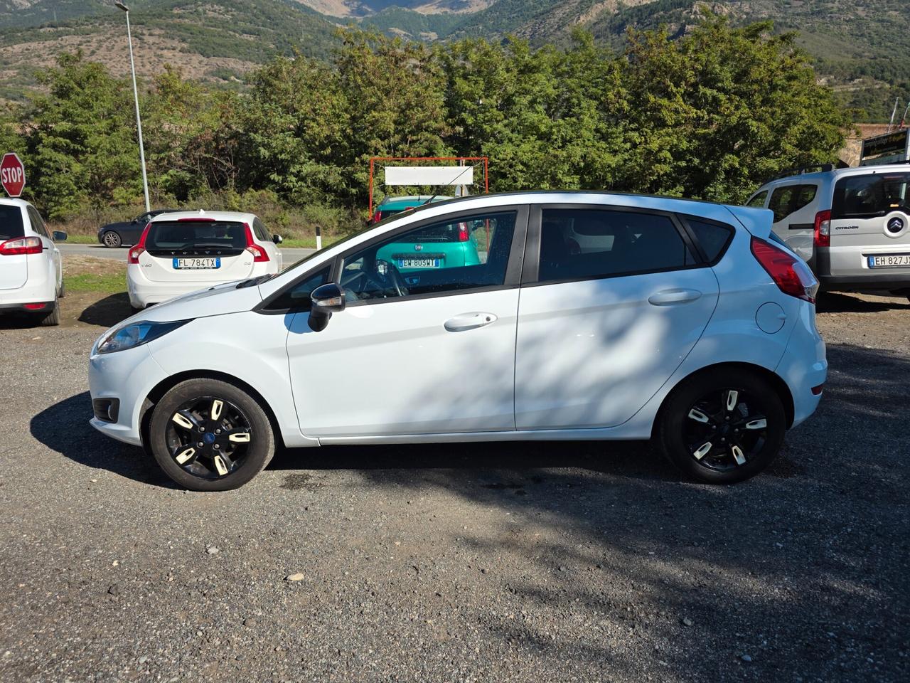 Ford Fiesta 1.5 TDCi Black & White Edition