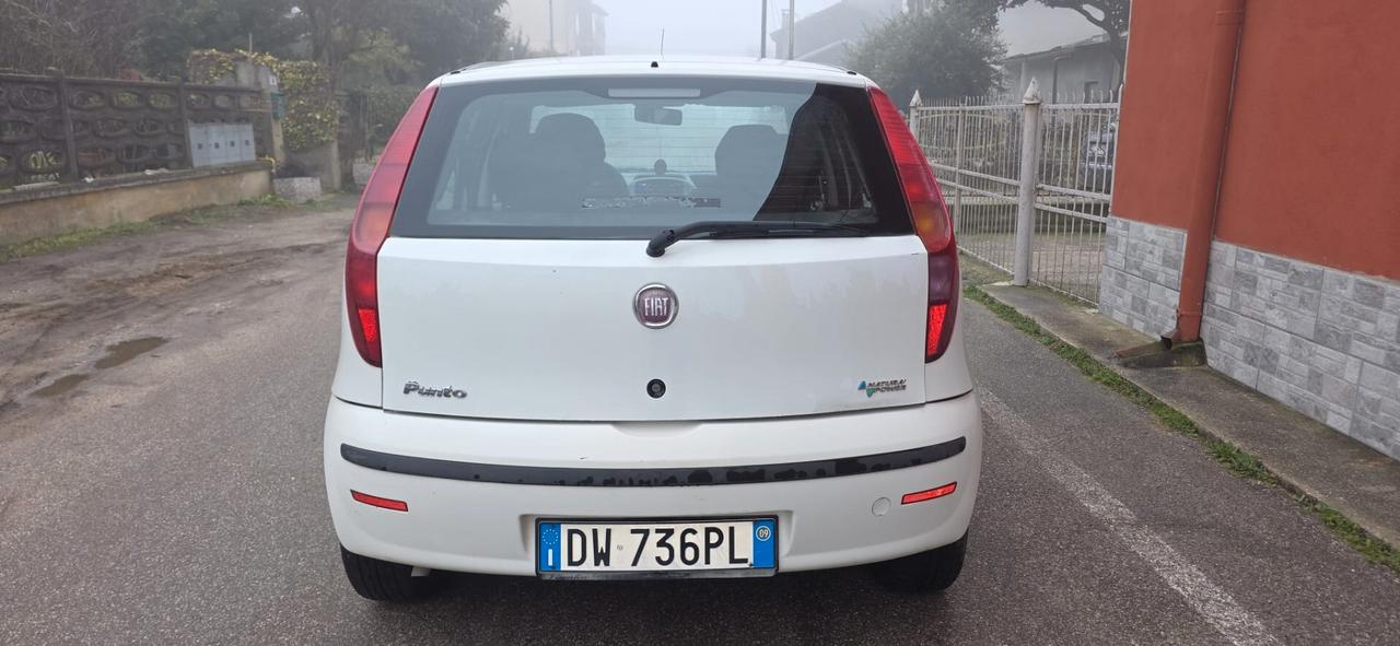 Fiat Punto Classic 1.2 5 porte Natural Power Active