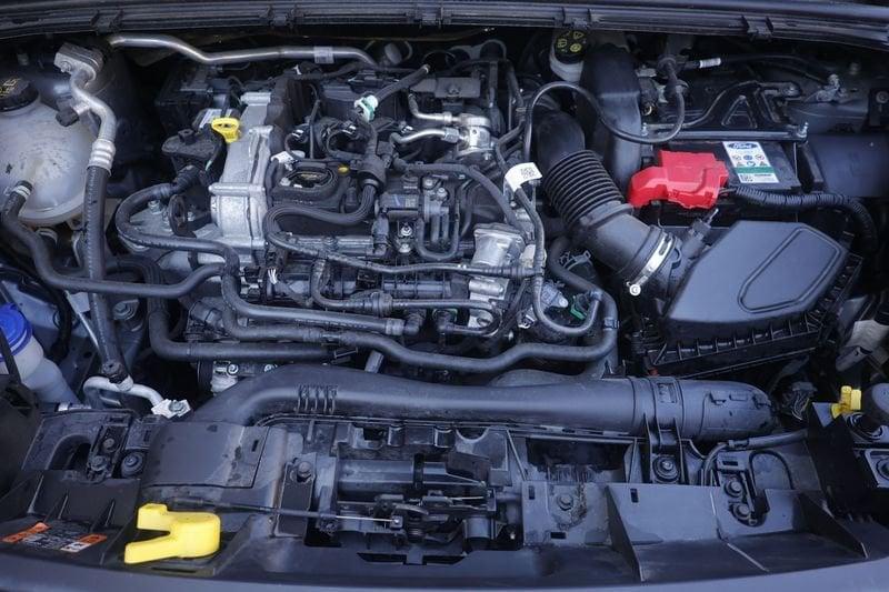 Ford Puma Ford Puma 1.0 ecoboost h ST-Line 125cv ANNO 2025