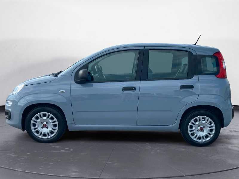 FIAT Panda 1.0 hybrid Easy 70cv