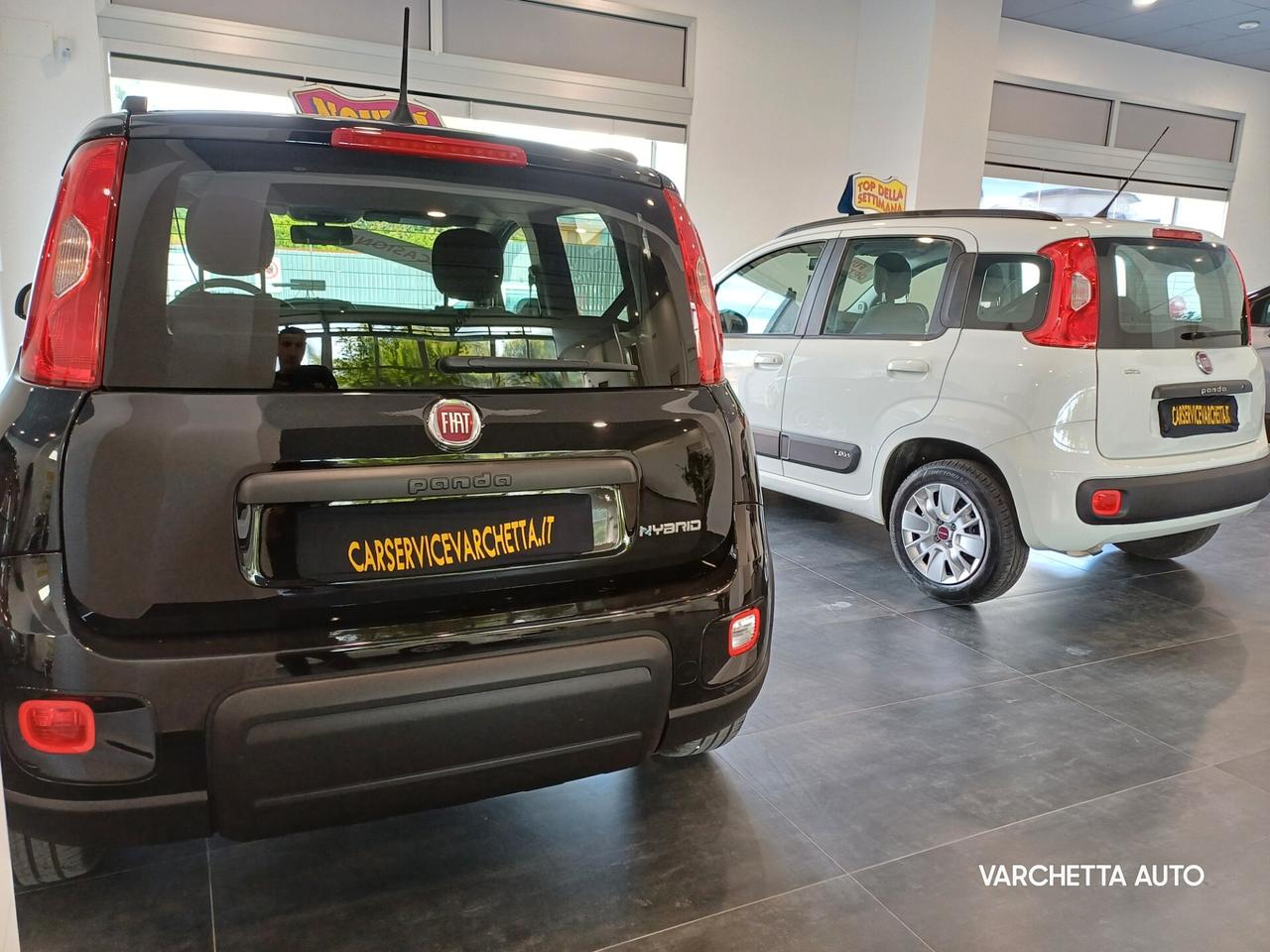 Fiat Panda 1.0 FireFly S&S Hybrid SEMINUOVA 12/2023