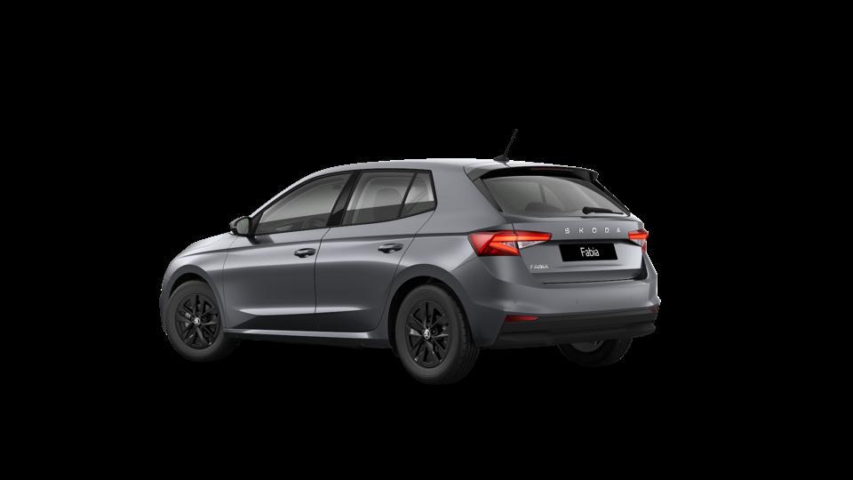 Skoda Fabia 1.0 tsi evo Young Edition 95cv
