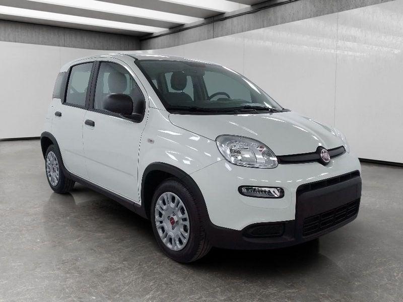 FIAT Panda 1.0 firefly hybrid s&s 70cv 5p.ti