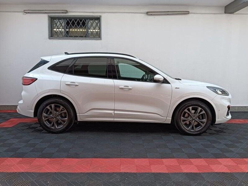Ford Kuga Kuga 1.5 EcoBlue 120 CV aut. 2WD ST-Line