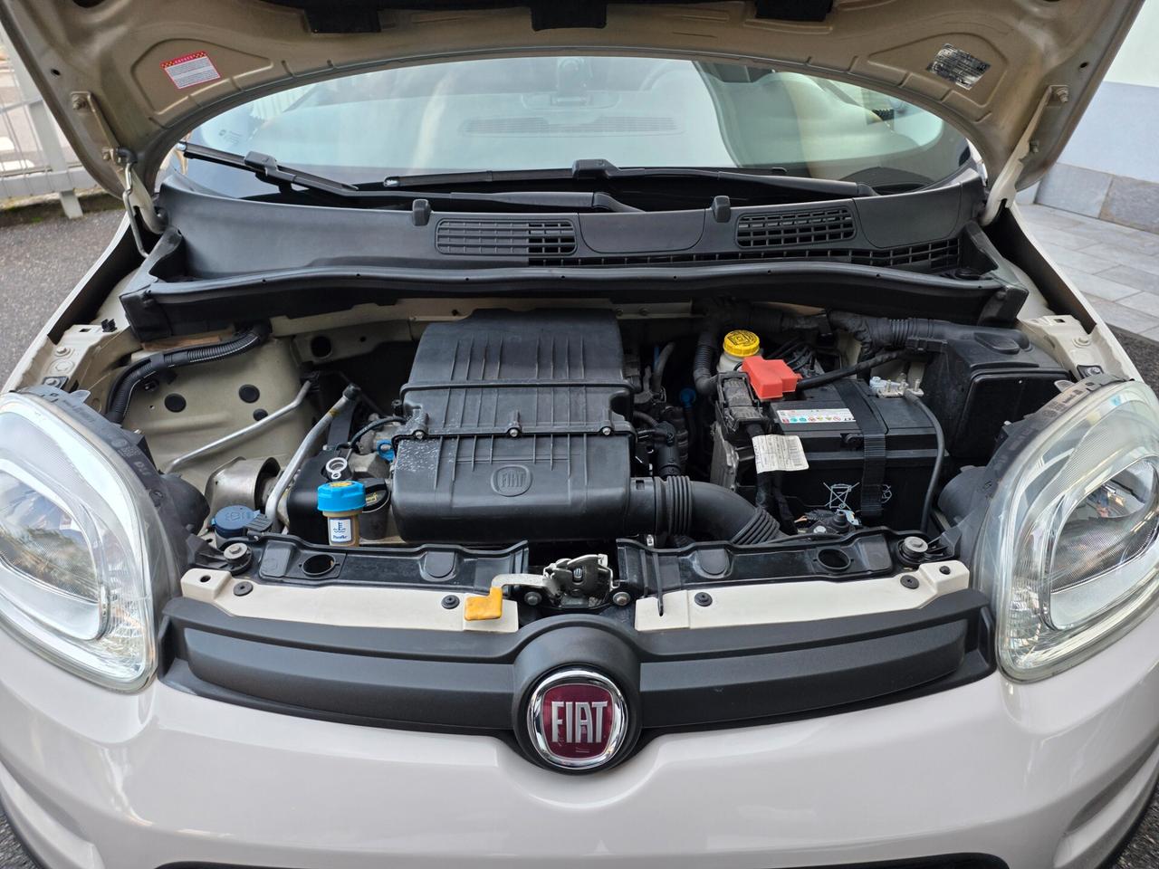 Fiat Panda 1.2 69cv / UNICOPROPRIETARIO / CINGHIA NUOVA