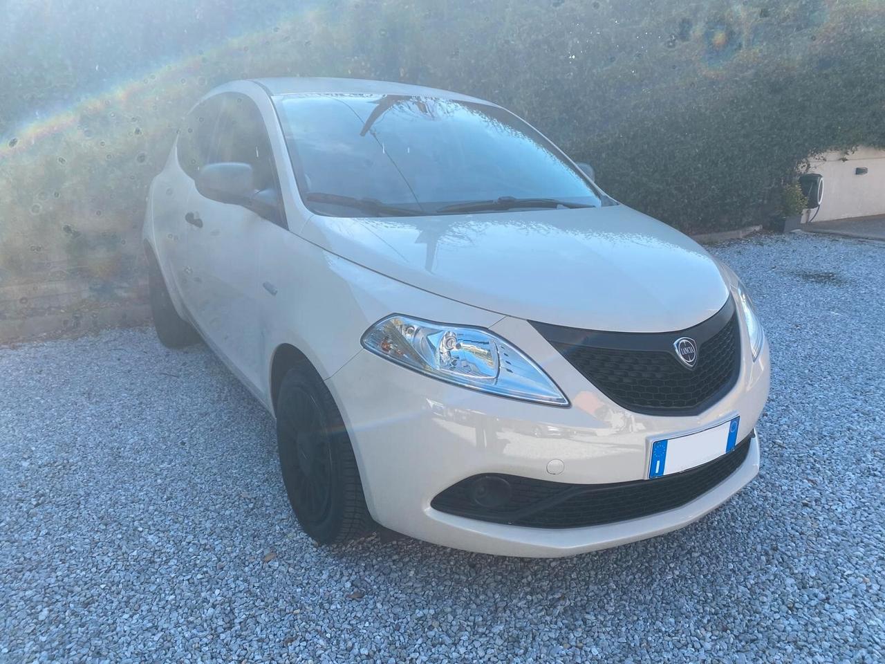 Lancia Ypsilon 1.2 69 CV 5 porte S&S Gold