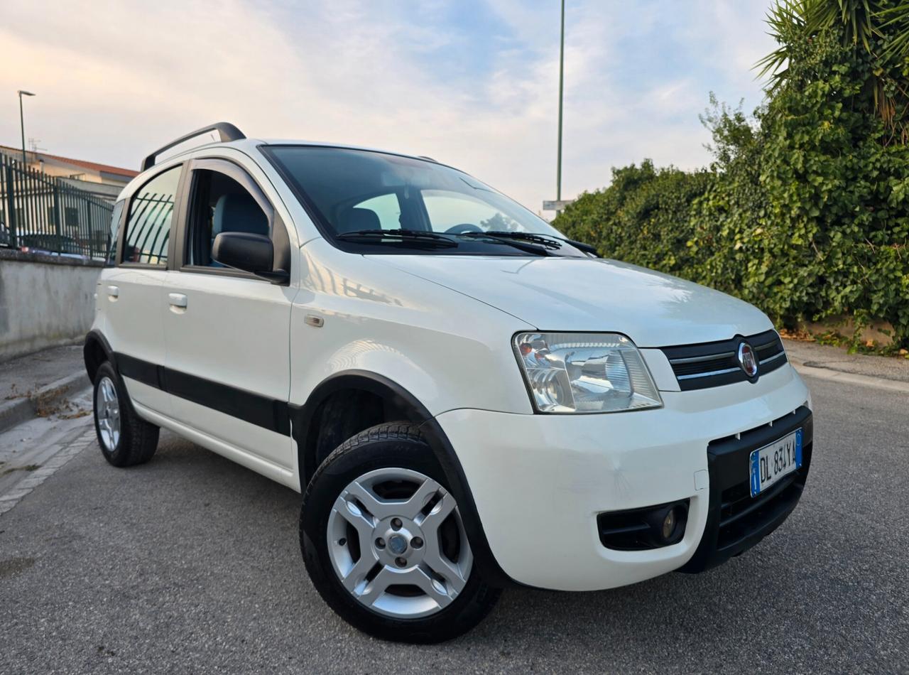 FIAT PANDA CLIMBING 1.2 NATURAL POWER PERFETTA