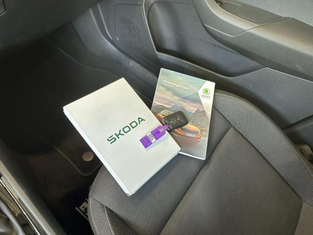 SKODA Karoq 2.0 TDI EVO SCR 115CV DSG EXECUTIVE