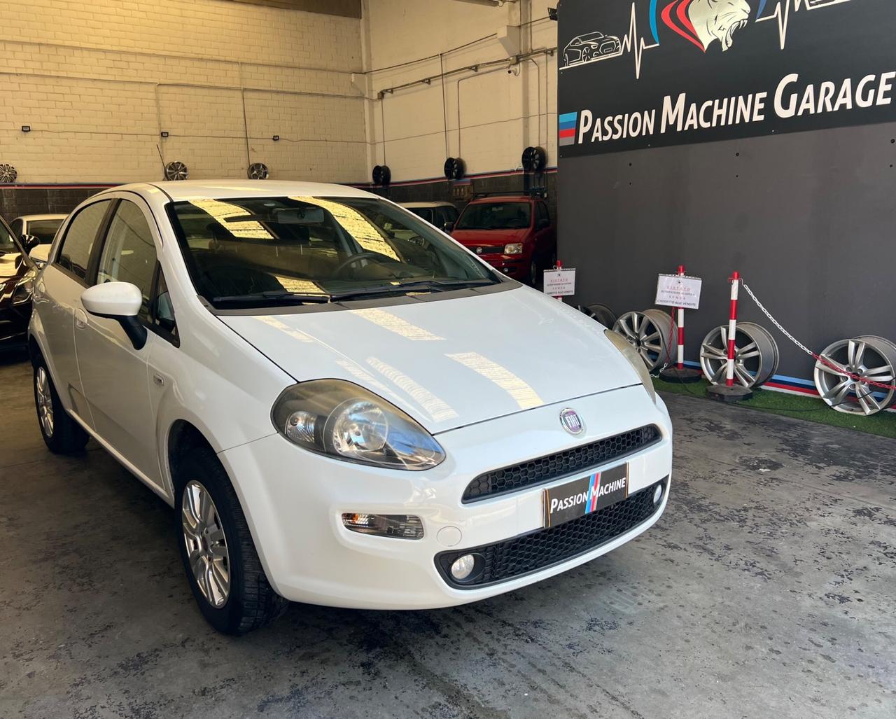 Fiat Punto 1.4 8V 5 porte Natural Power Lounge