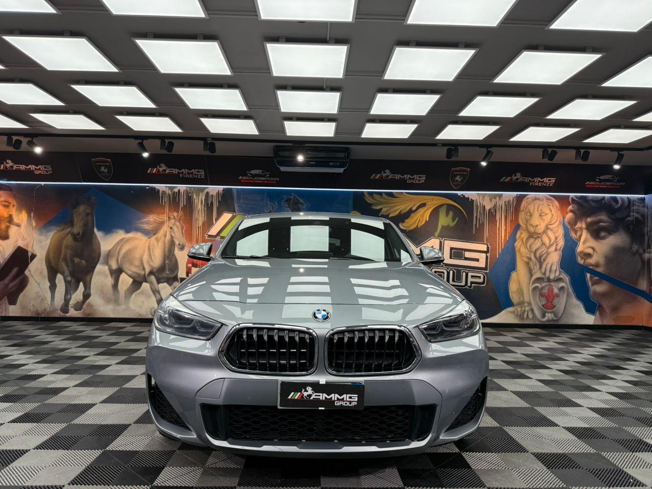 Bmw X2 sDrive18d Msport-X (500)