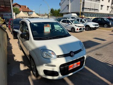 FIAT PANDA 1.2 BENZINA 69 (CV) 2019
