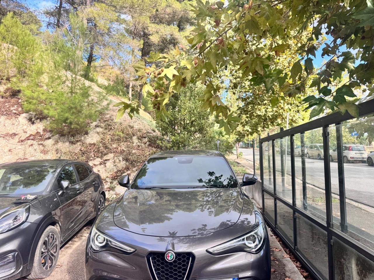 Alfa Romeo Stelvio 2.2 Turbodiesel 190 CV AT8 Q4 Business