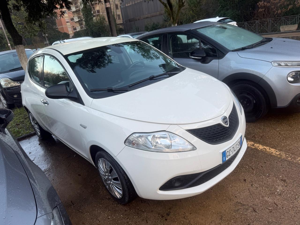 Lancia Ypsilon 1.2 69 CV 5 porte GPL Ecochic Platinum