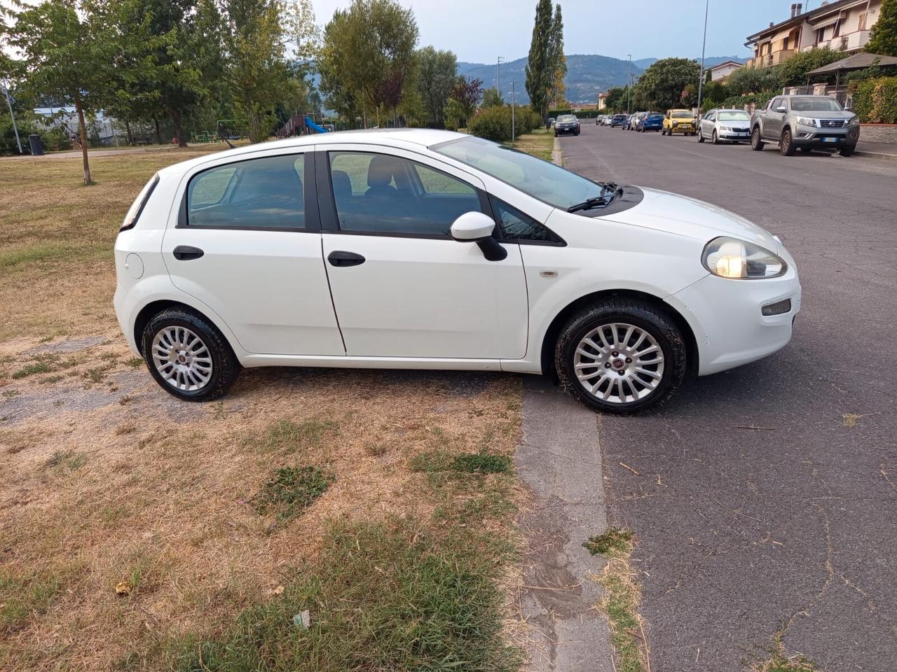 Fiat Punto 1.2 8V 5 porte Easy