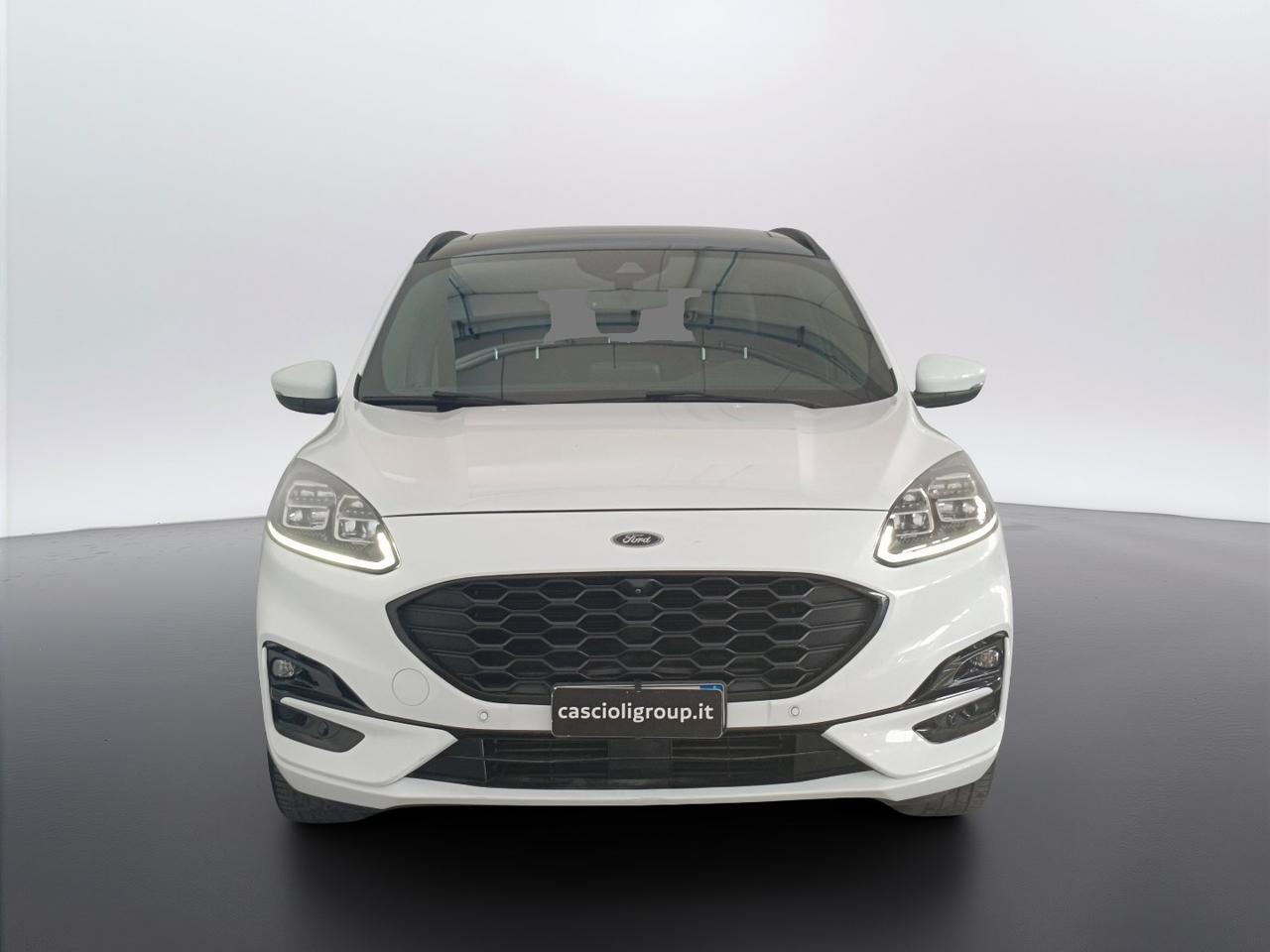 FORD Kuga III 2020 - Kuga 1.5 ecoblue ST-Line X 2wd 120cv