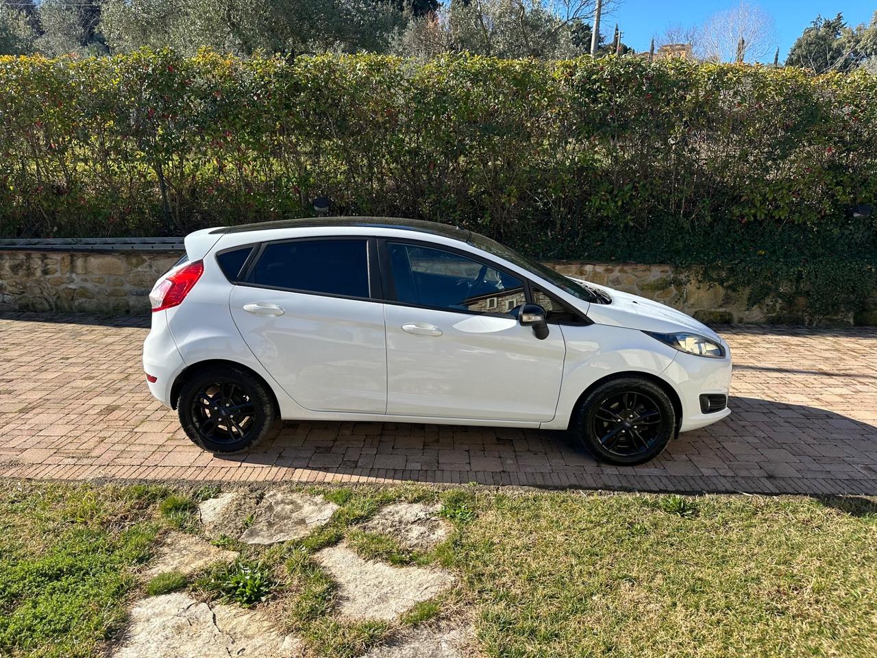 Ford Fiesta 1.5 TDCi 75CV 5 porte Black & White Edition