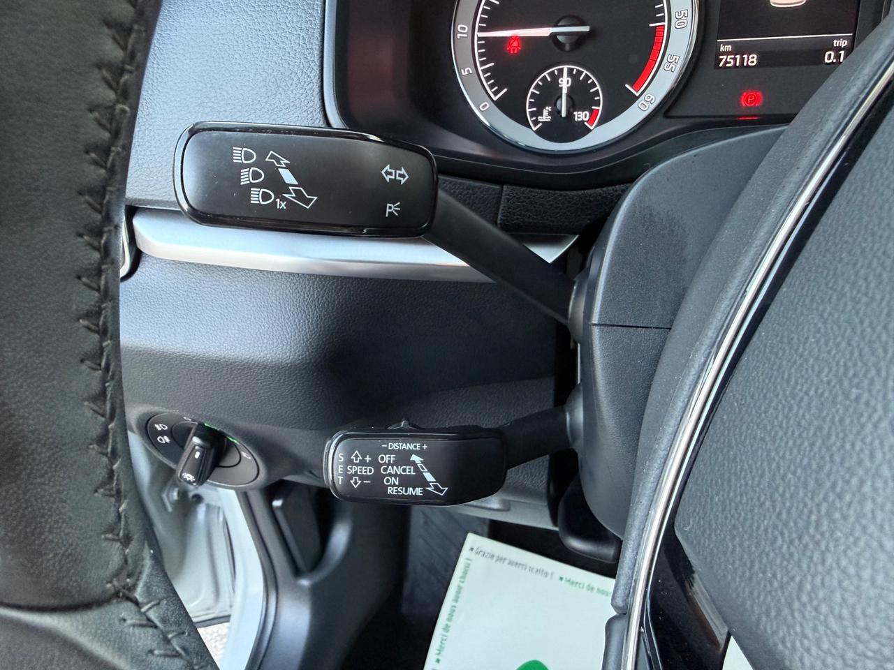 Skoda Karoq 2.0 150 Cv 4X4 DSG Executive