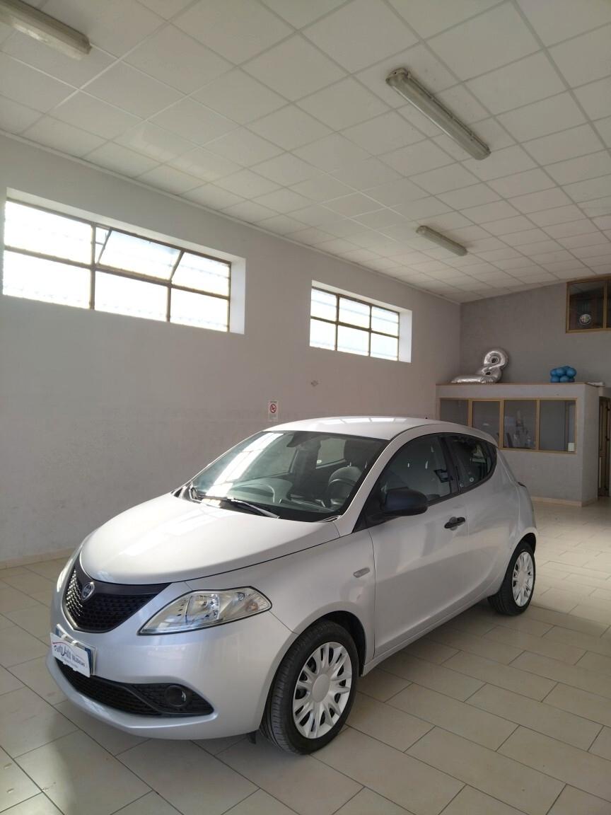 Lancia Ypsilon 1.2 69 CV 5 porte Elefantino FINANZIABILE