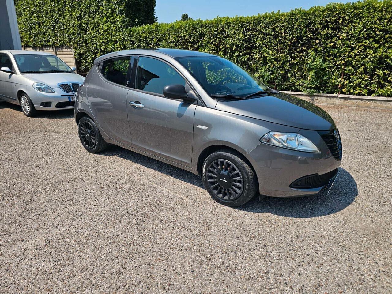Lancia Ypsilon 1.3 MJT 16V 95 CV 5 porte S&S Platinum