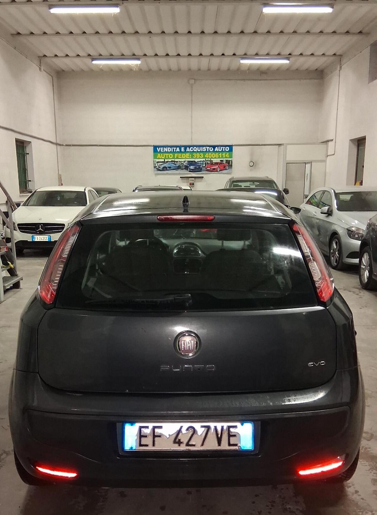 Fiat Punto Evo 1.2 5 porte S&S Active
