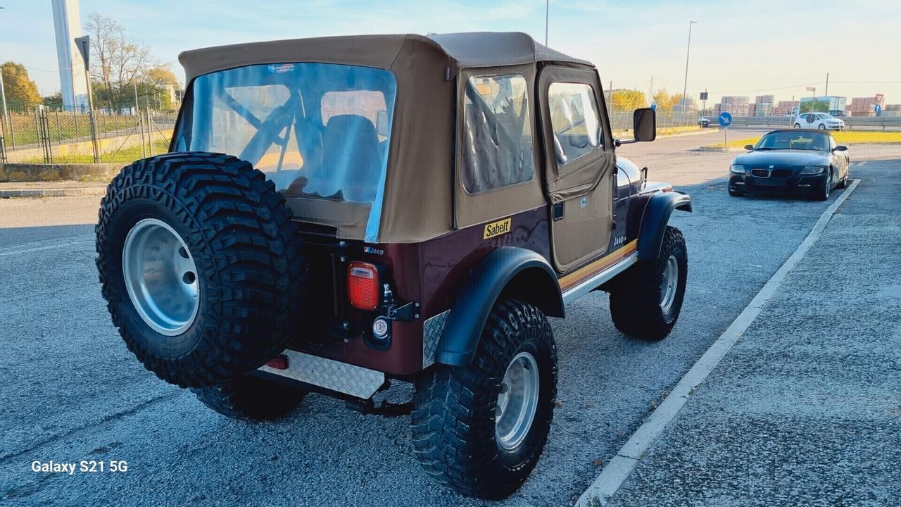 CJ7 RENEGADE V8 AMC 304