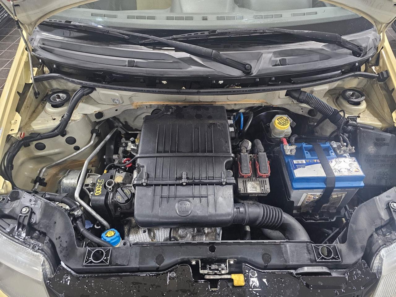 NUOVA FIAT PANDA EMOTION 1.2 BENZ 60CV - AUTO COME NUOVA