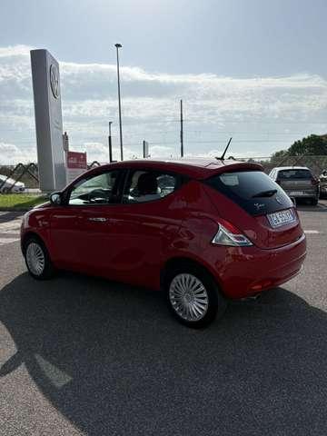 Lancia Ypsilon 1.2 69 CV 5 porte Gold