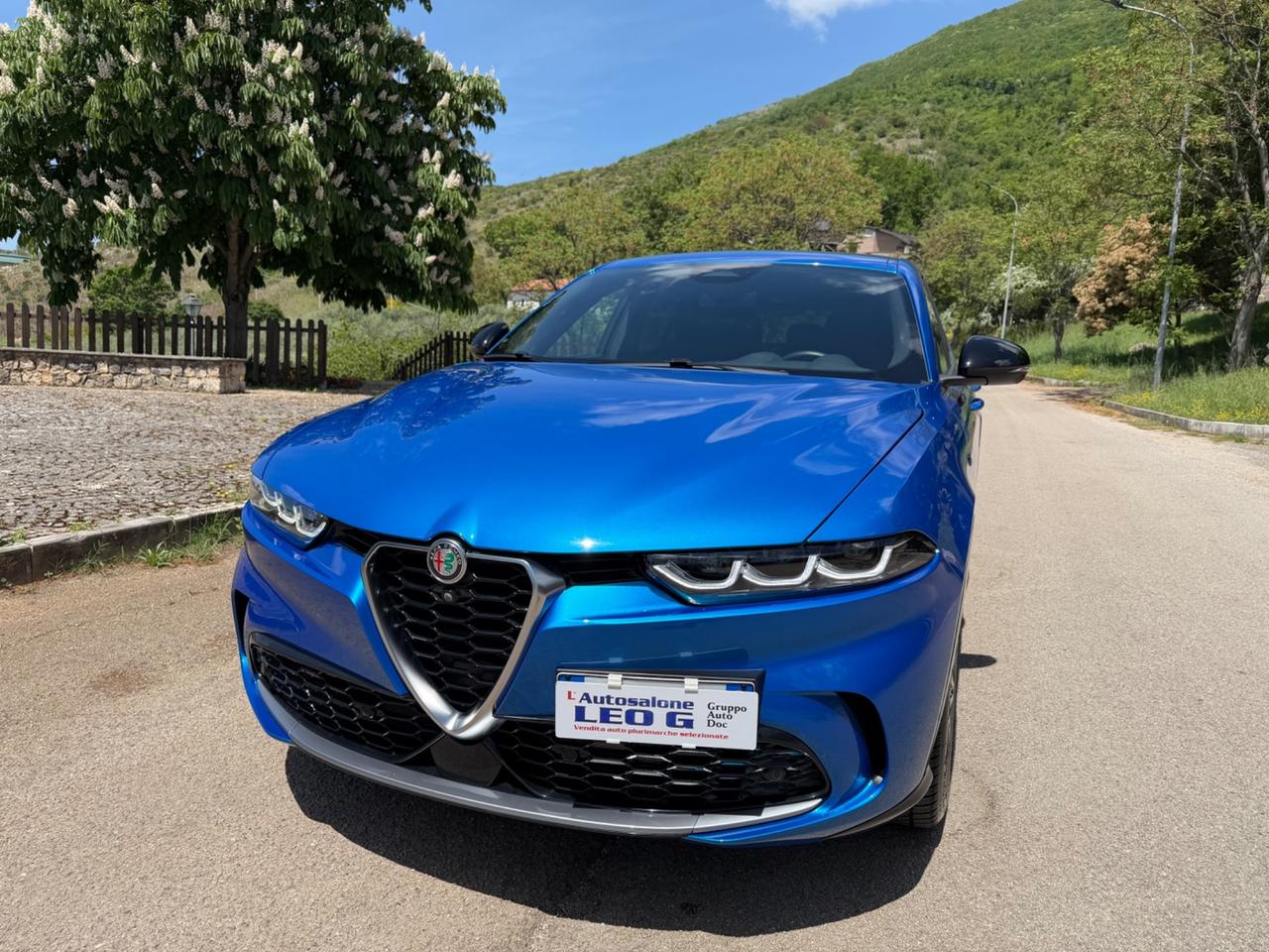 Alfa Romeo Tonale 1.6 diesel 130 CV TCT6 Ti