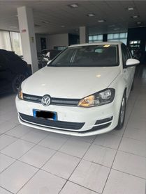 Volkswagen Golf 1.4 TGI 5p. Executive BlueMotion