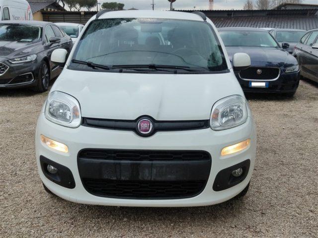 FIAT Panda New 1.2 Lounge CLIMA OK NEOPATENTATI ..