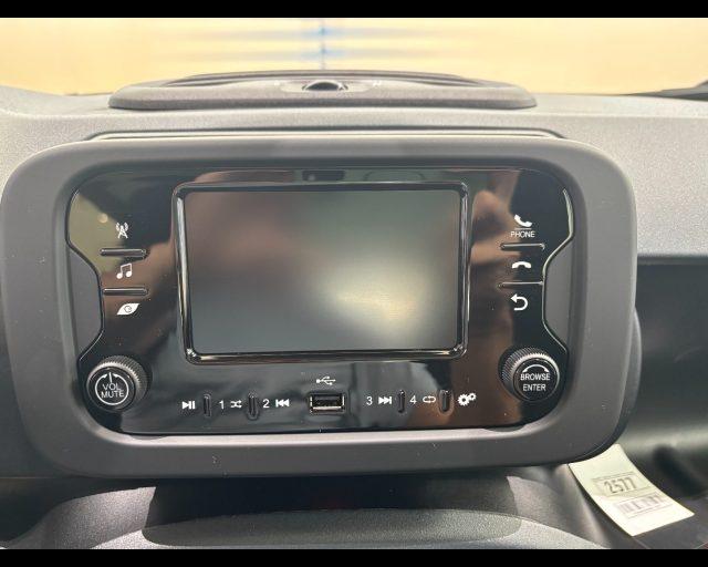 FIAT Pandina 1.0 firefly hybrid Icon s&s 65cv