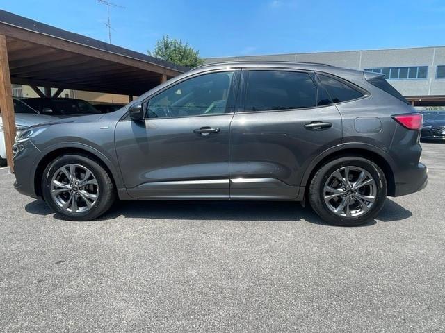 Ford Kuga 1.5 EcoBlue 120 CV 2WD ST-Line X